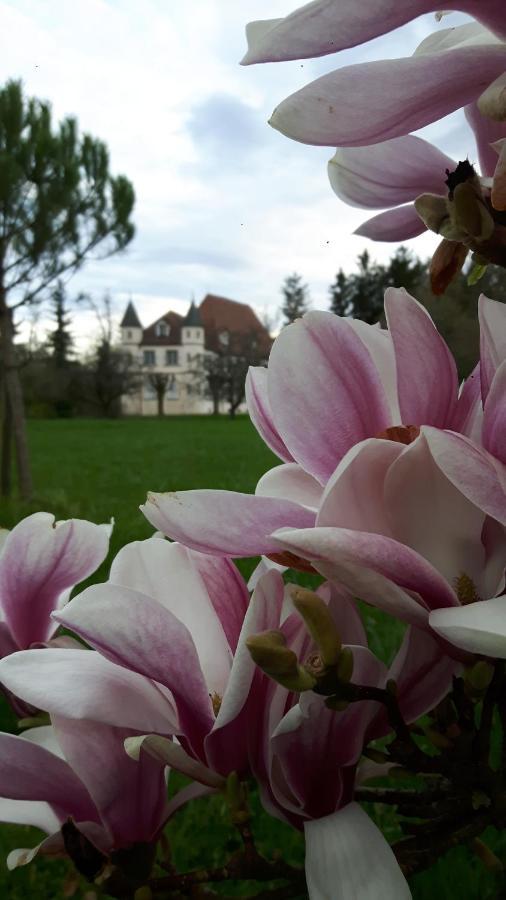 Chateau De Werde Matzenheim Ngoại thất bức ảnh